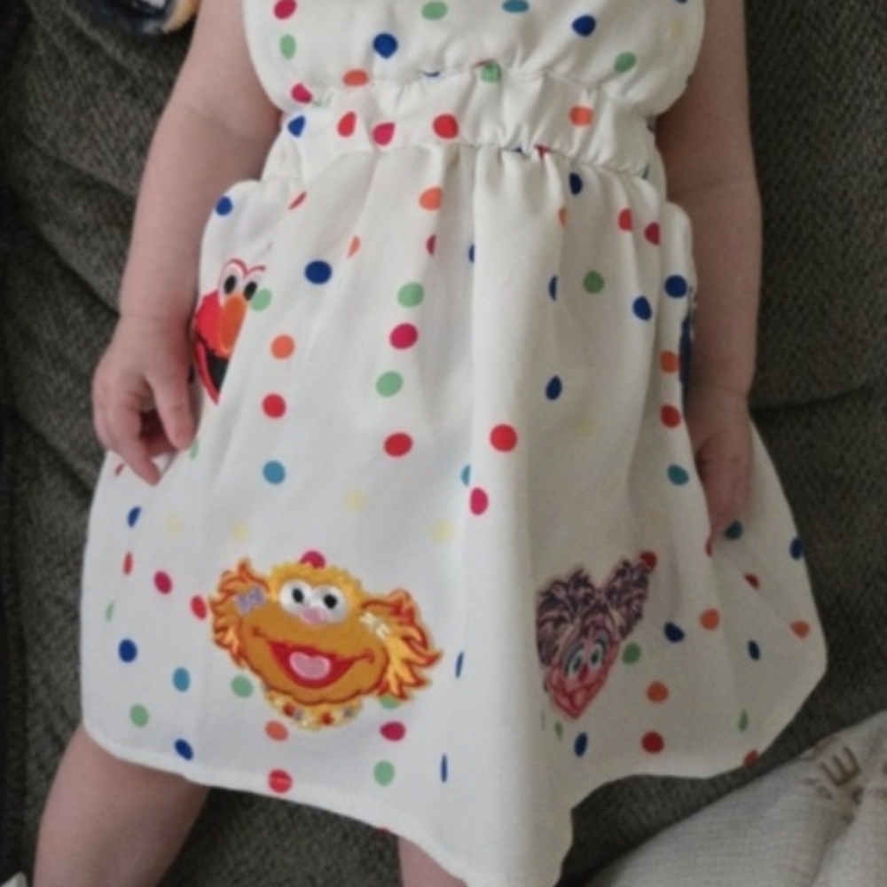 Elmo Dress Smash Cake Second Birthday Cookie Monster Clothes Sesame Street Abby - Picture 2 of 6